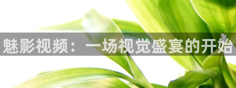 日韩久久一区影院