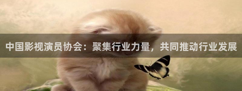 久久午夜精品电影网